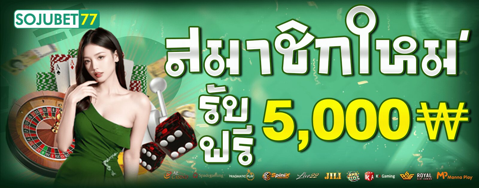 สมาชิกใหม่-ยาว