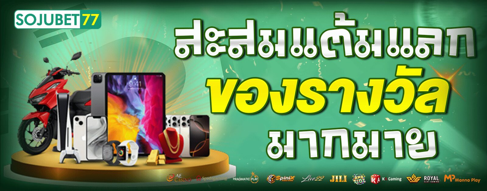 สะสมแต้มแลก-ยาว