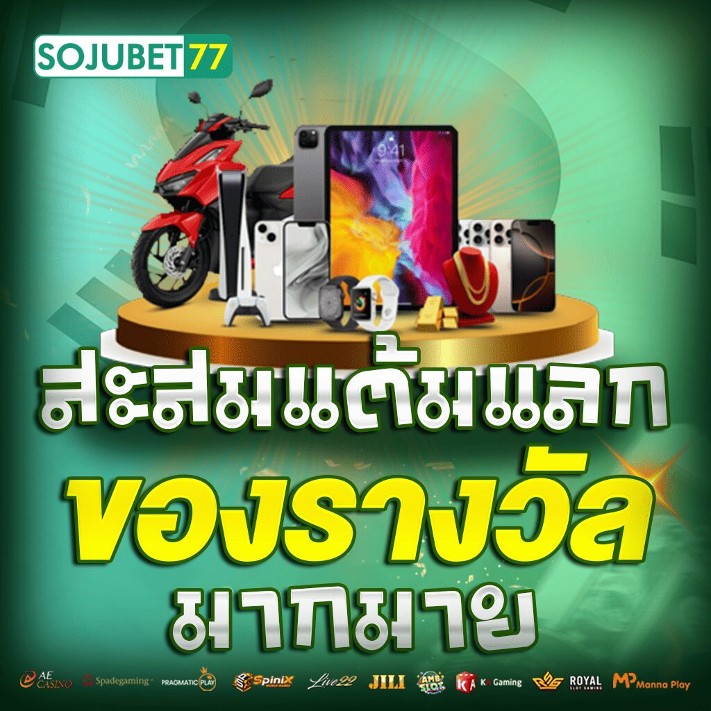 สะสมแต้มแลก